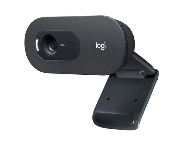 罗技（Logitech）C505e 高清摄像头720P 办公会议 网课教学